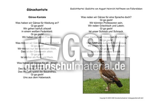 Gänsekantate-Fallersleben.pdf